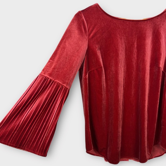 Foxcroft Womens Velvet Top Maroon Red Bell Ruffle Sleeve Blouse Whimsigoth 6 Y2K - Picture 3 of 12